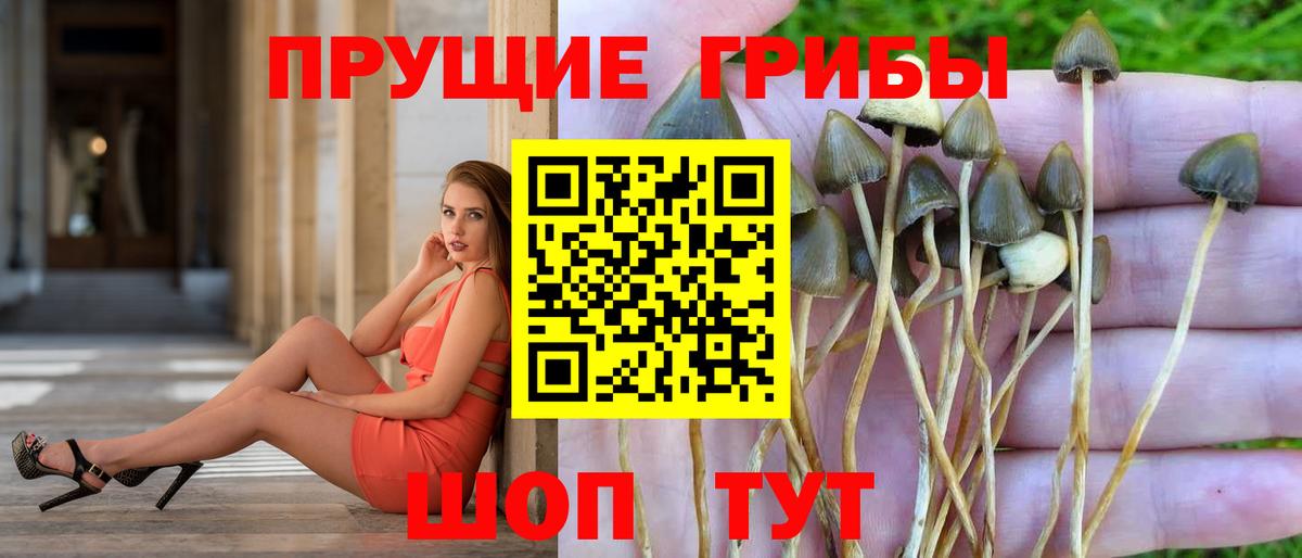 Галлюциногенные грибы MAGIC MUSHROOMS  Вход с VPN  Лангепас  Галлюциногенные грибы мухоморы 